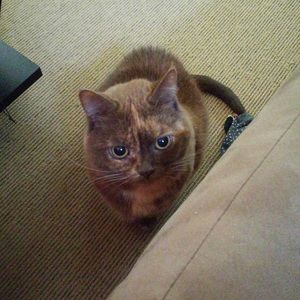 Meet your Posher, Anthony